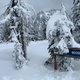 Illustration for article titled Still skiing, under human power